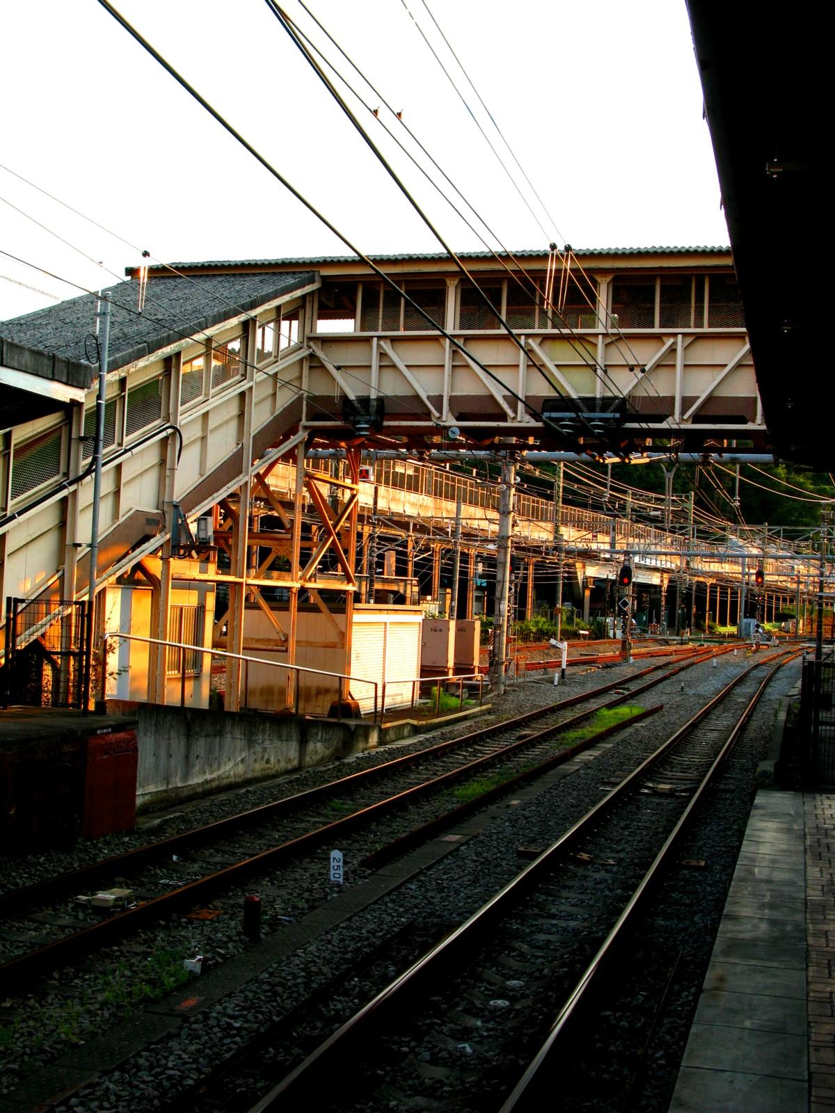 d0173255_1824473.jpg