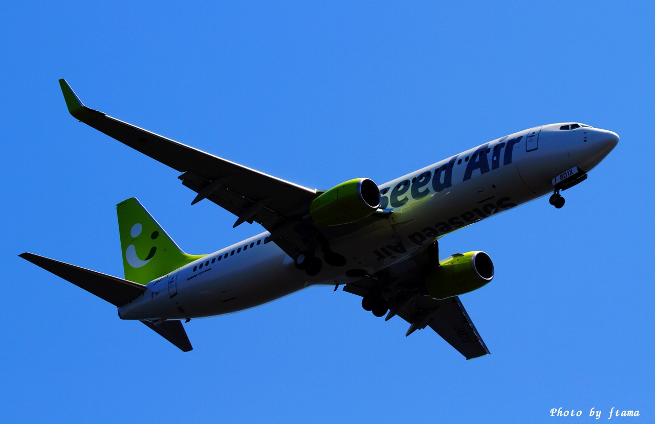 e0197357_7555843.jpg