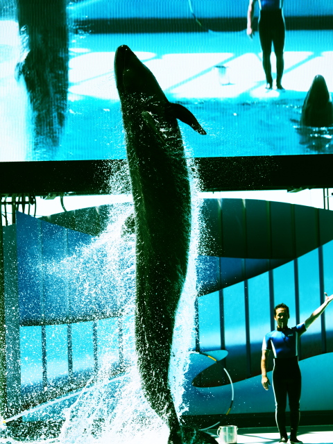 c0186760_22445436.jpg