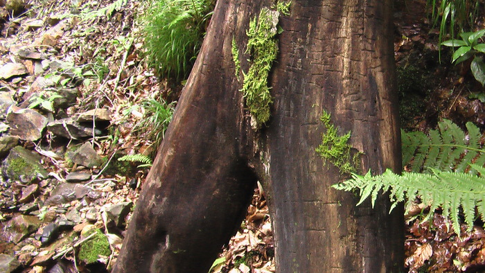 b0208961_23195213.jpg