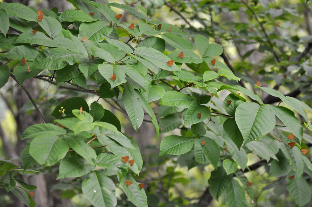 c0043361_23513790.jpg