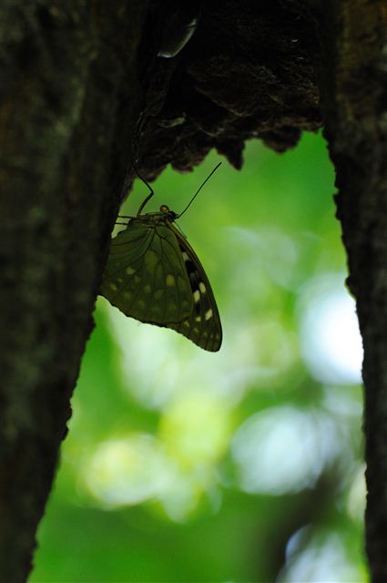 f0222161_2012122.jpg