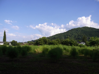 f0178464_2246874.jpg