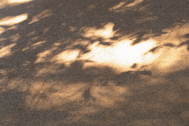 a0123465_19592510.jpg