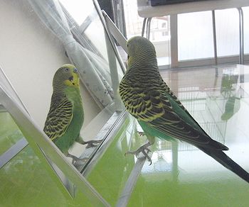 f0196665_0123361.jpg