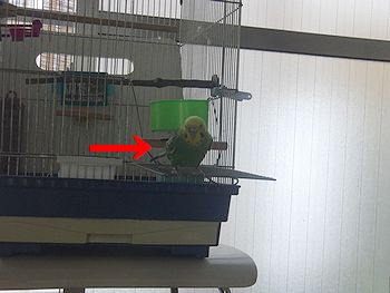 f0196665_014164.jpg