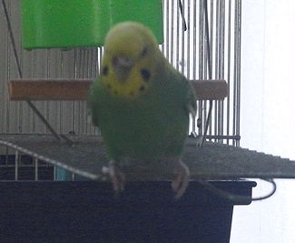 f0196665_0161191.jpg