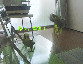 f0196665_0163030.jpg
