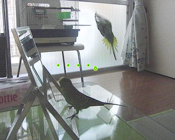 f0196665_0172783.jpg