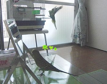 f0196665_0173816.jpg