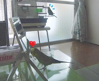 f0196665_0175890.jpg
