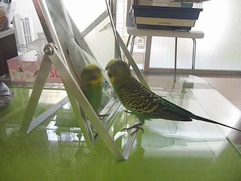 f0196665_0739.jpg