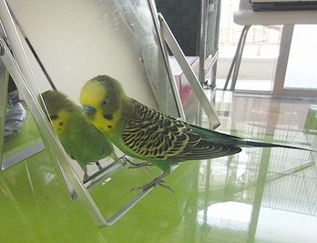 f0196665_083741.jpg