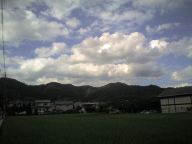 b0048766_1692697.jpg