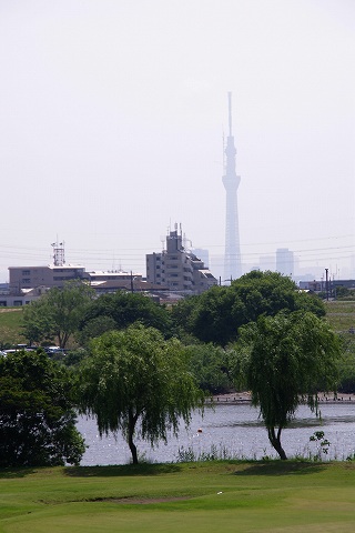 e0045768_22471630.jpg