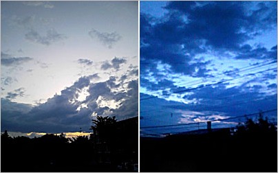a0050669_123269.jpg