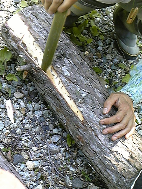 e0118274_21402799.jpg