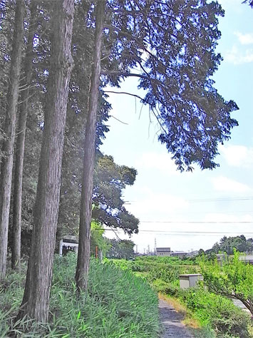 f0089079_0295599.jpg