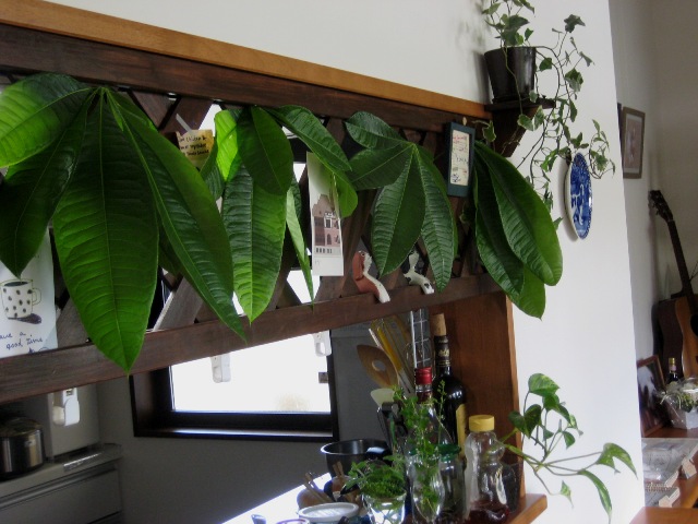 c0221281_22405375.jpg