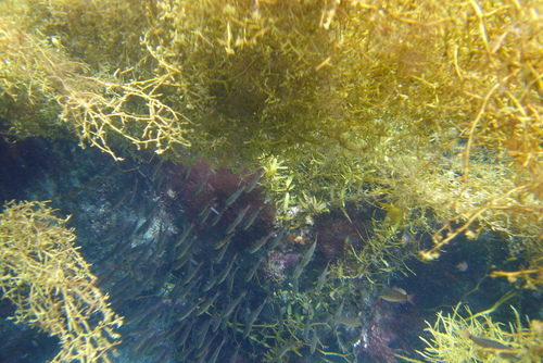 a0216086_2311462.jpg