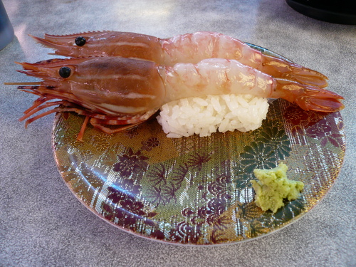 a0216086_23255246.jpg