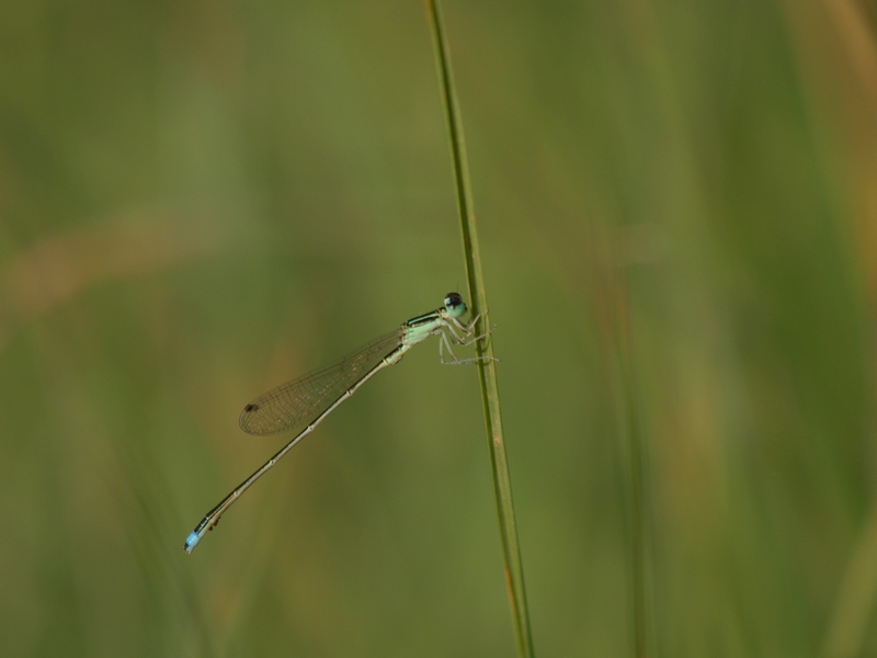 b0108186_22503364.jpg