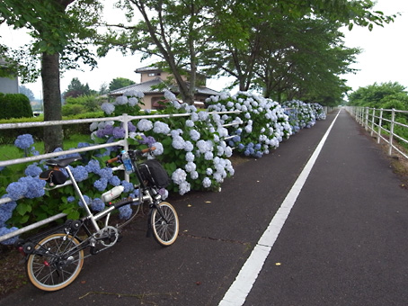 b0087187_22131936.jpg