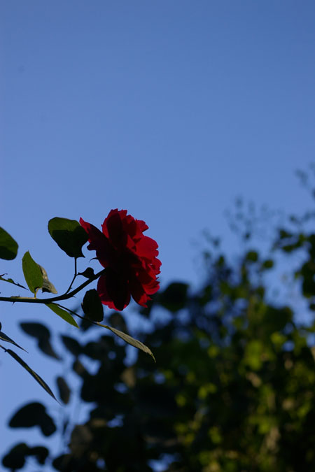 a0157595_20133460.jpg