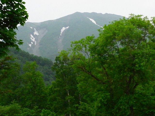 f0157901_2254251.jpg
