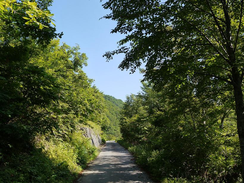 d0078203_17173826.jpg