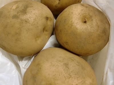 a0134004_181716.jpg