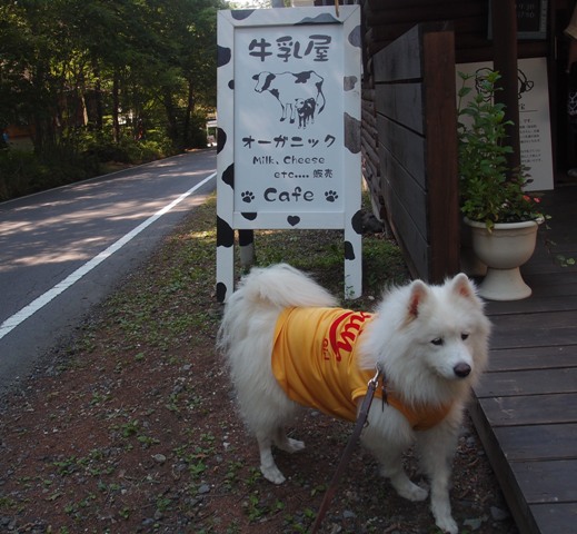 e0018604_15475243.jpg