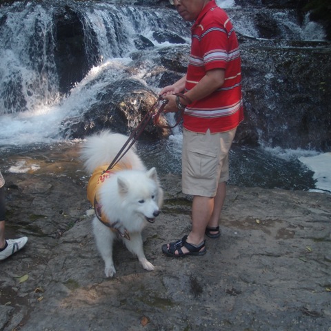 e0018604_155401.jpg