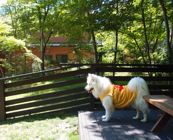 e0018604_2123261.jpg