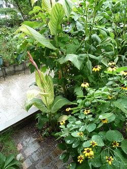 e0234004_1384148.jpg