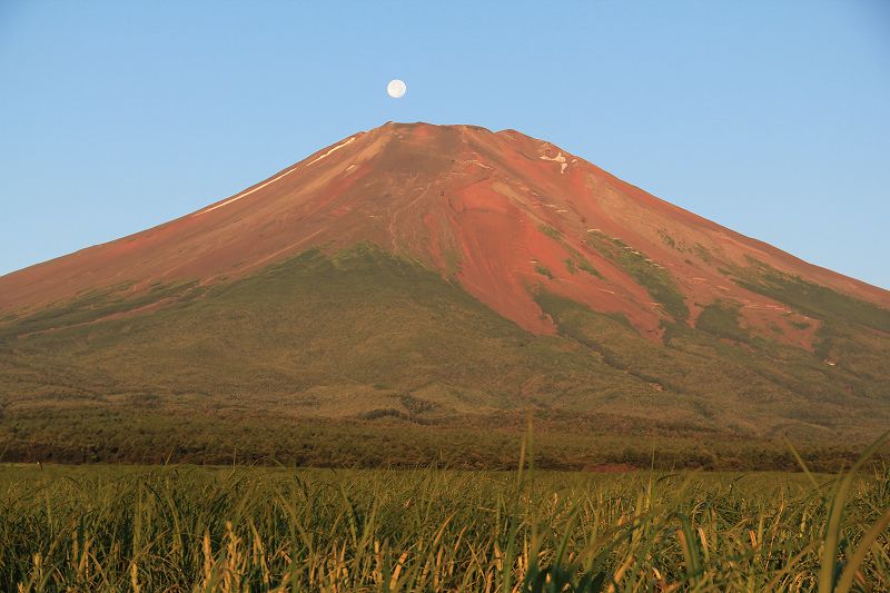 a0188405_1316635.jpg