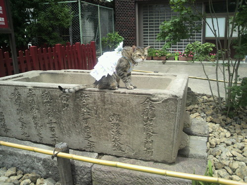 e0031605_1534062.jpg