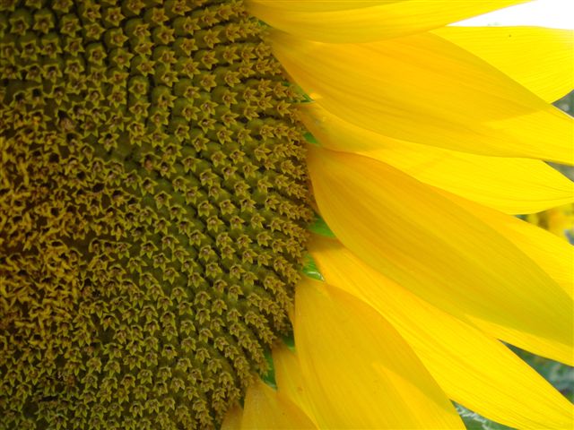 c0226907_232718100.jpg