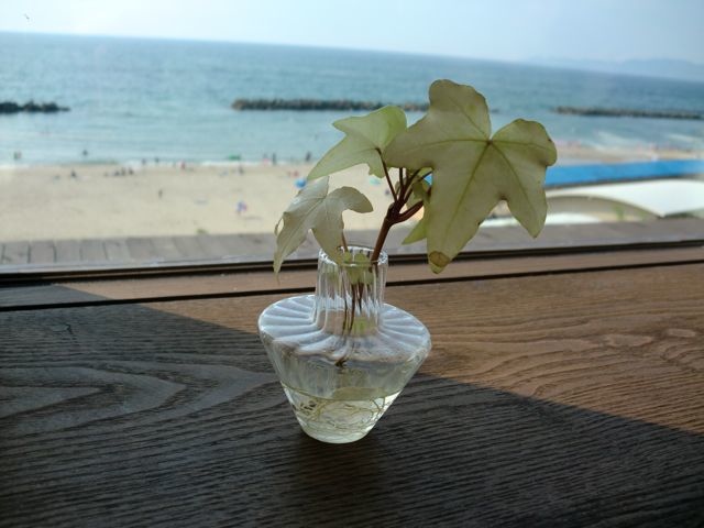 e0001907_1845997.jpg