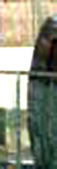 e0103408_161440100.jpg