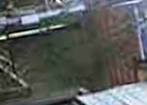 e0103408_16161074.jpg