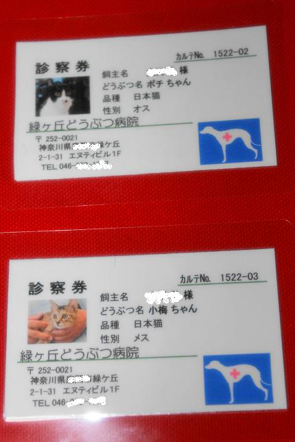 e0123808_18232621.jpg