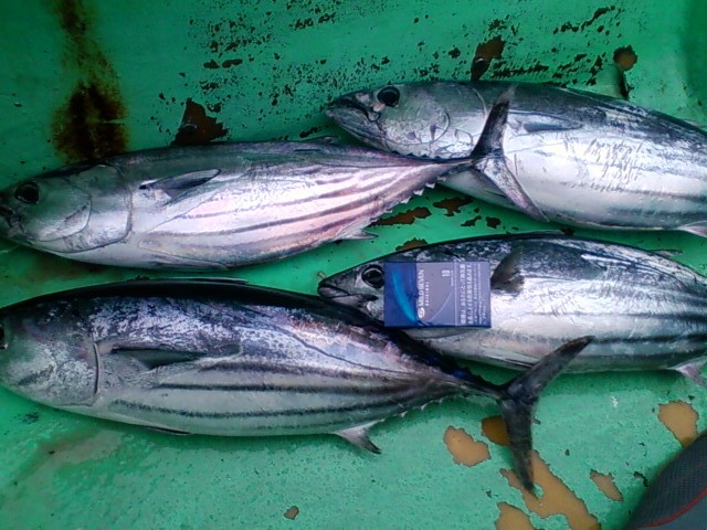e0125217_17265942.jpg