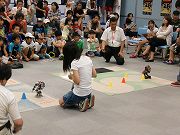f0191517_1727182.jpg
