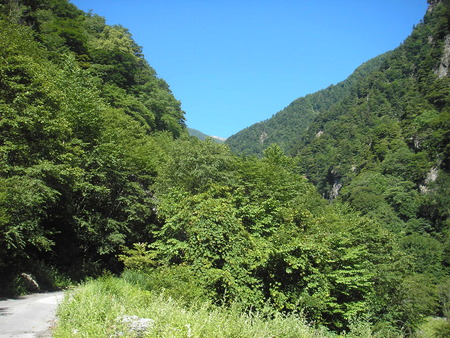 d0168318_9451488.jpg