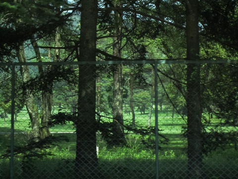 b0167519_16325798.jpg