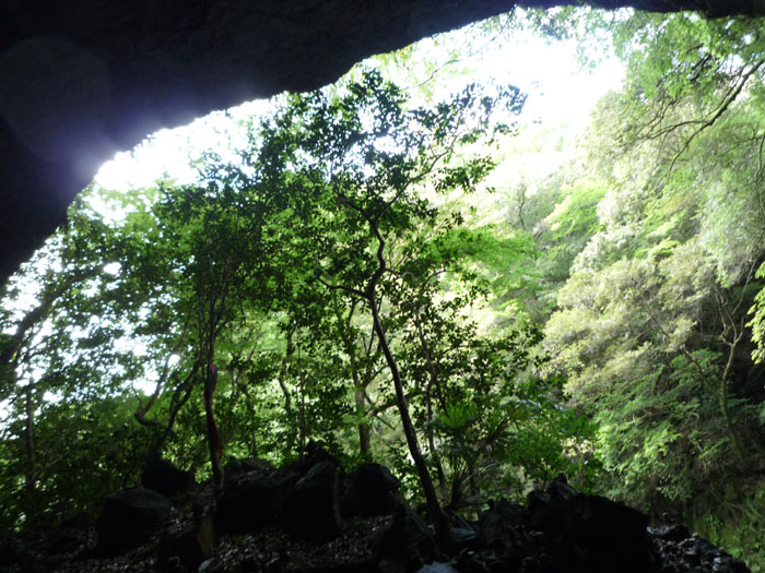 c0172724_9565265.jpg