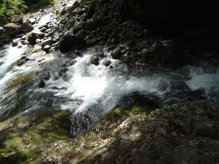 c0172724_957789.jpg