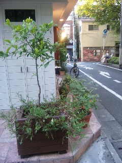 e0177824_23435178.jpg