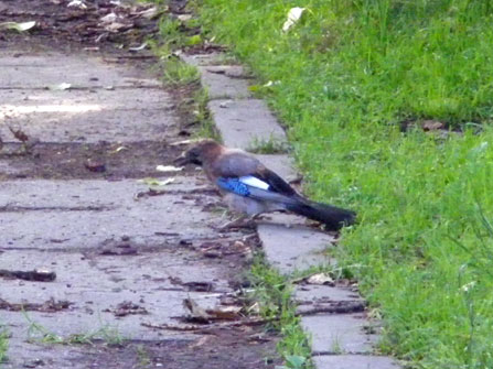 c0184125_18104668.jpg